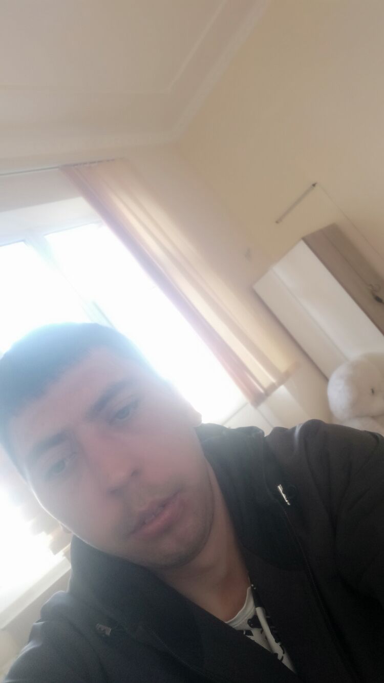  33606086  , 28 ,    