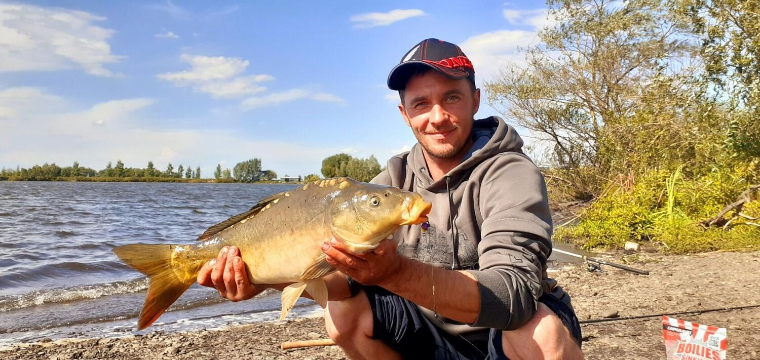 ���� 28771516 ������� �����, 40 ���, ���� ���������� � ��������