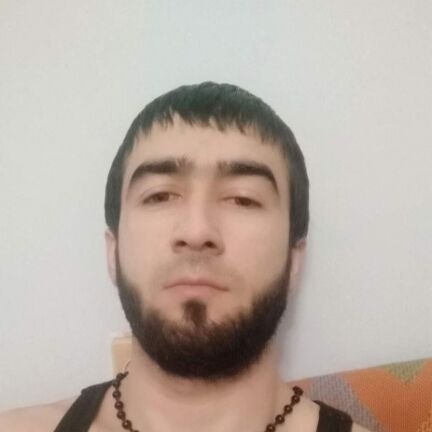  28906226   , 21 ,    