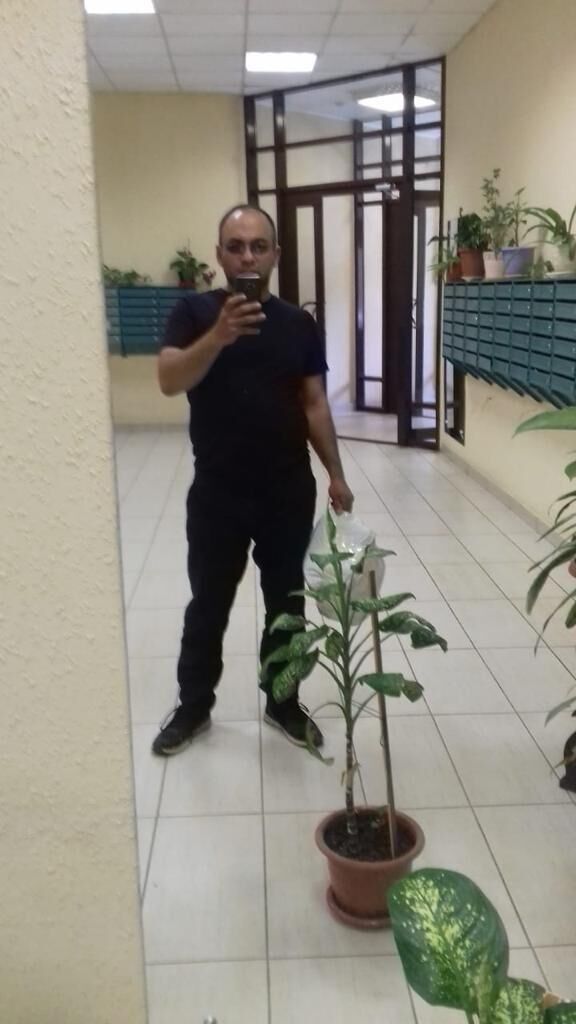  28504976  , 43 ,    