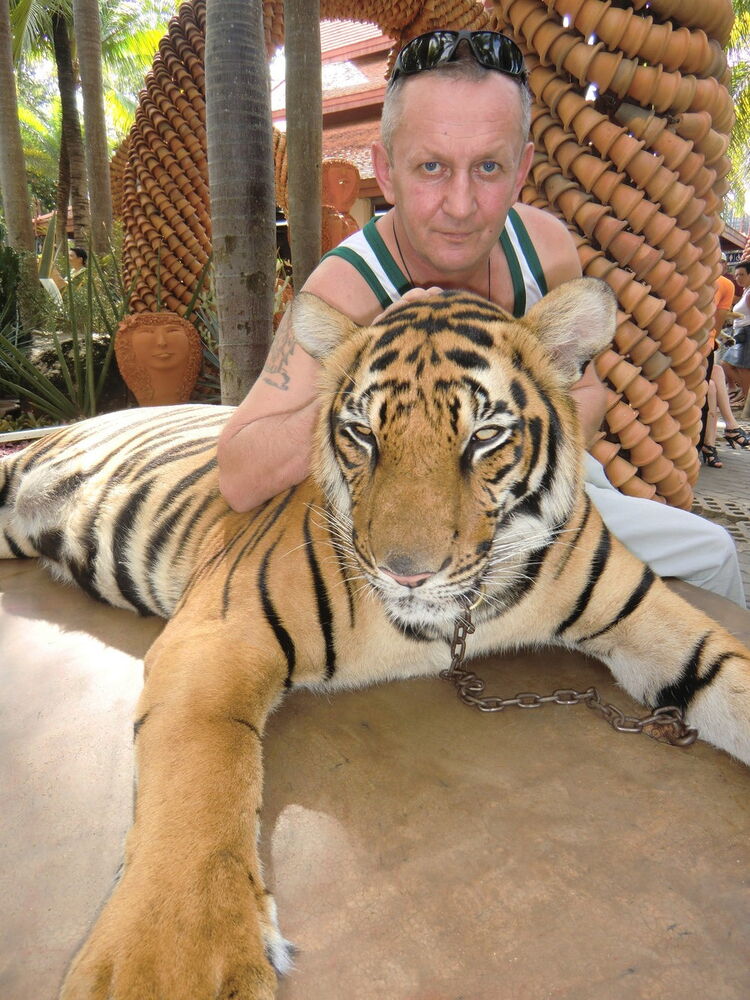  ,   , 55 ,   