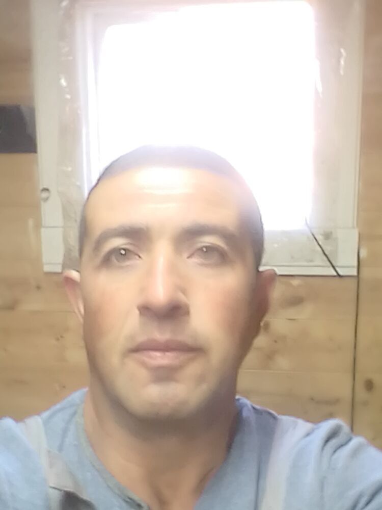  29154916  , 48 ,    