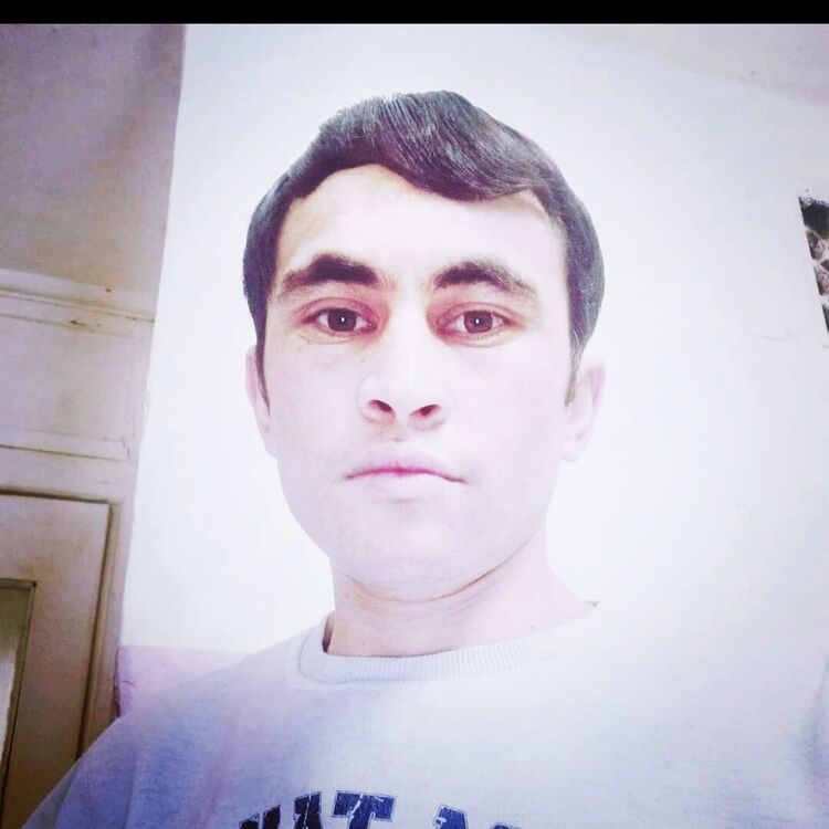 ���� 26023246 ������� ����, 33 ����, ���� ���������� � ��������