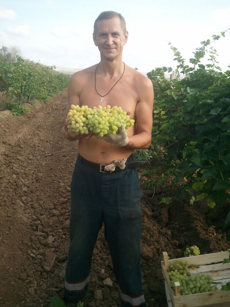 ���������� �����, ���� ������� ���, 55 ���, ������������ ��� ����� � ���������, c�������� ���������