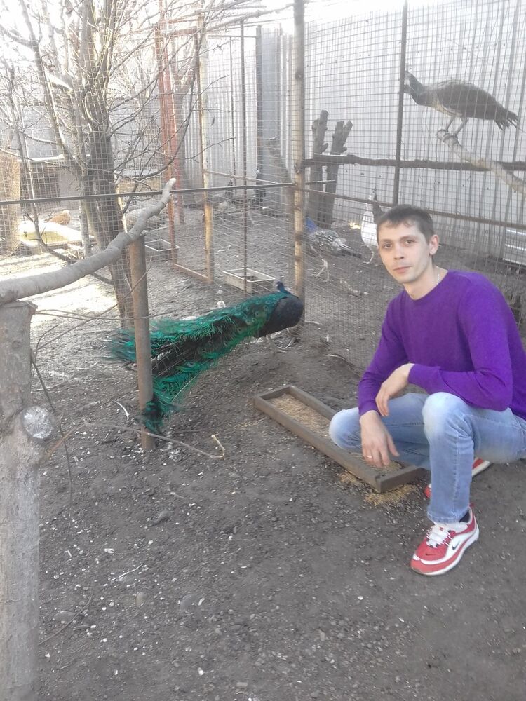  16056726  , 35 ,    