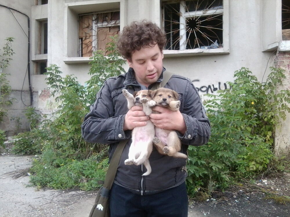 ���� 7416396 ������� �������, 31 ���, ���� ���������� � ����