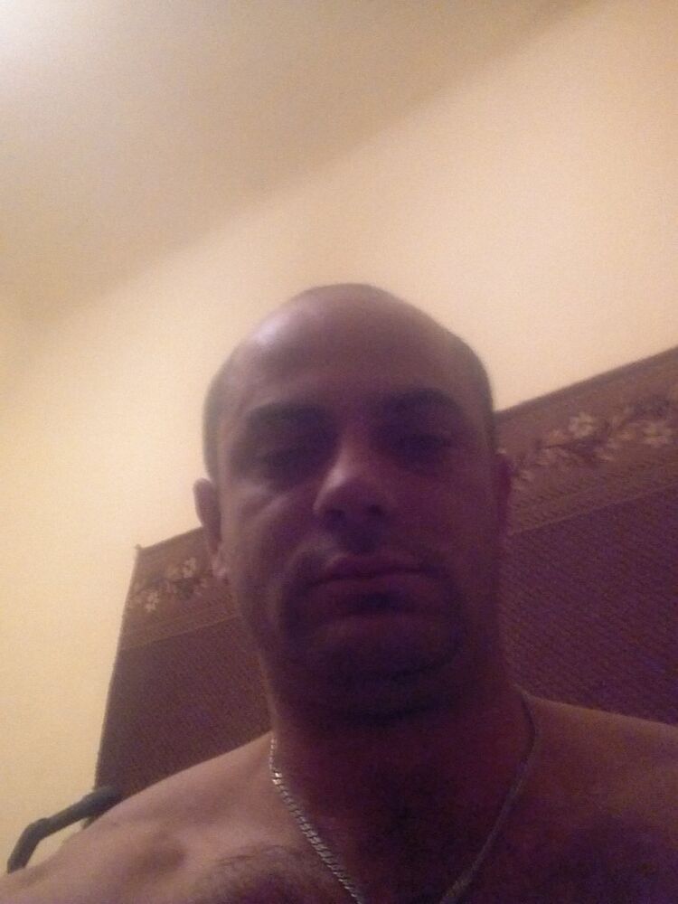  8250936  , 40 ,    