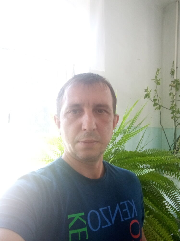  24154606  , 45 ,    