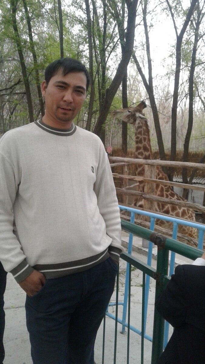 ���� 9543616 ������� ������, 40 ���, ���� ���������� � ������