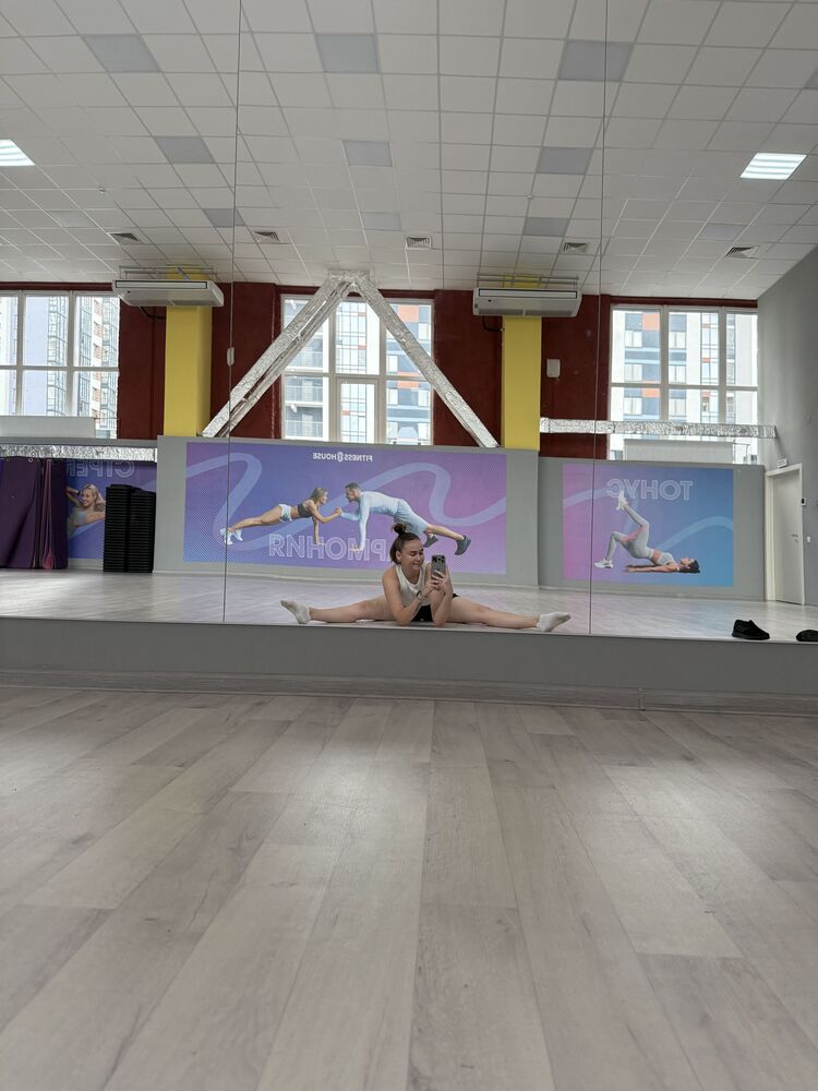  53923906  , 24 ,    -