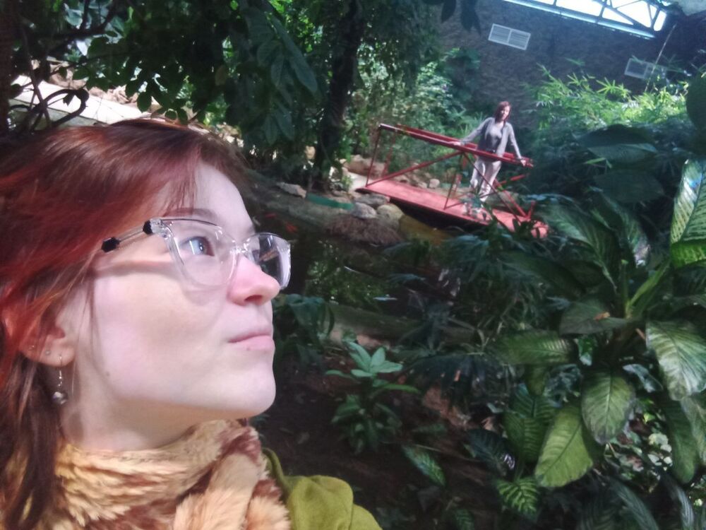 ���� 55220826 ������� ������, 18 ���, ���� ���������� � ��������