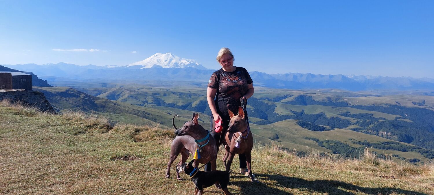 ���� 53108676 ������� ��������, 54 ����, ���� ���������� � ������