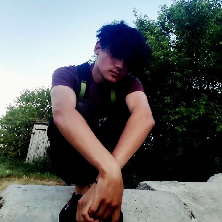  21553006  , 24 ,    