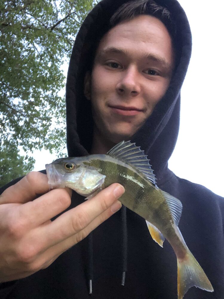 ���������� ������, ���� ����� �����, 23 ����, ������������ ��� ������, ����� � ���������