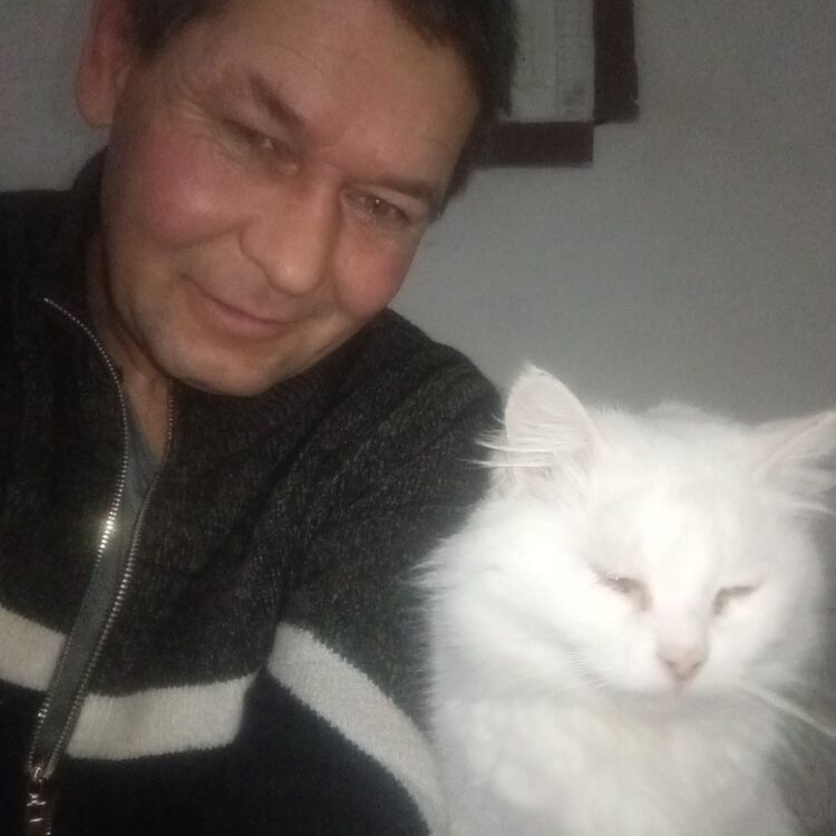 ���� 55712956 ������� ����, 49 ���, ���� ���������� � ��������