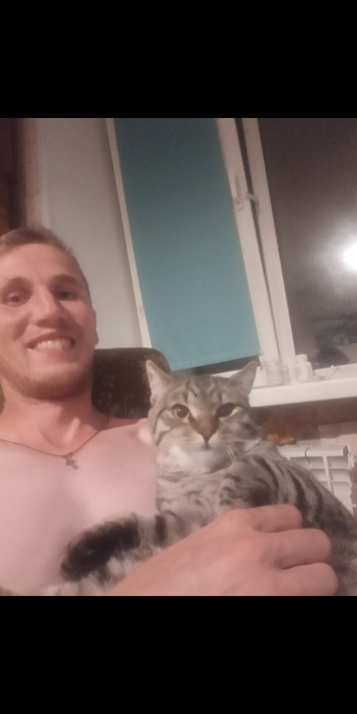 ���� 31708356 ������� ����, 29 ���, ���� ���������� � ���������