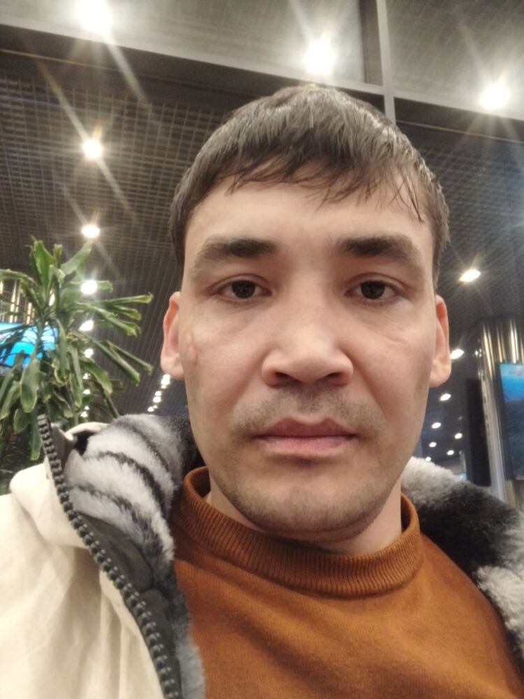  50848746  , 34 ,    