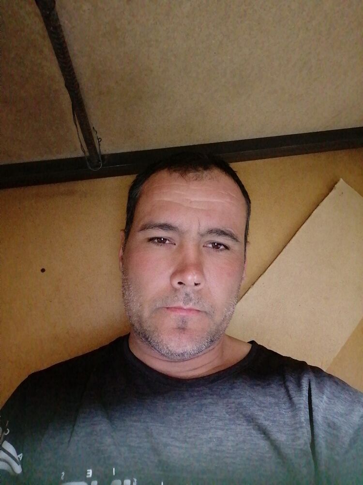  39331066  , 42 ,    