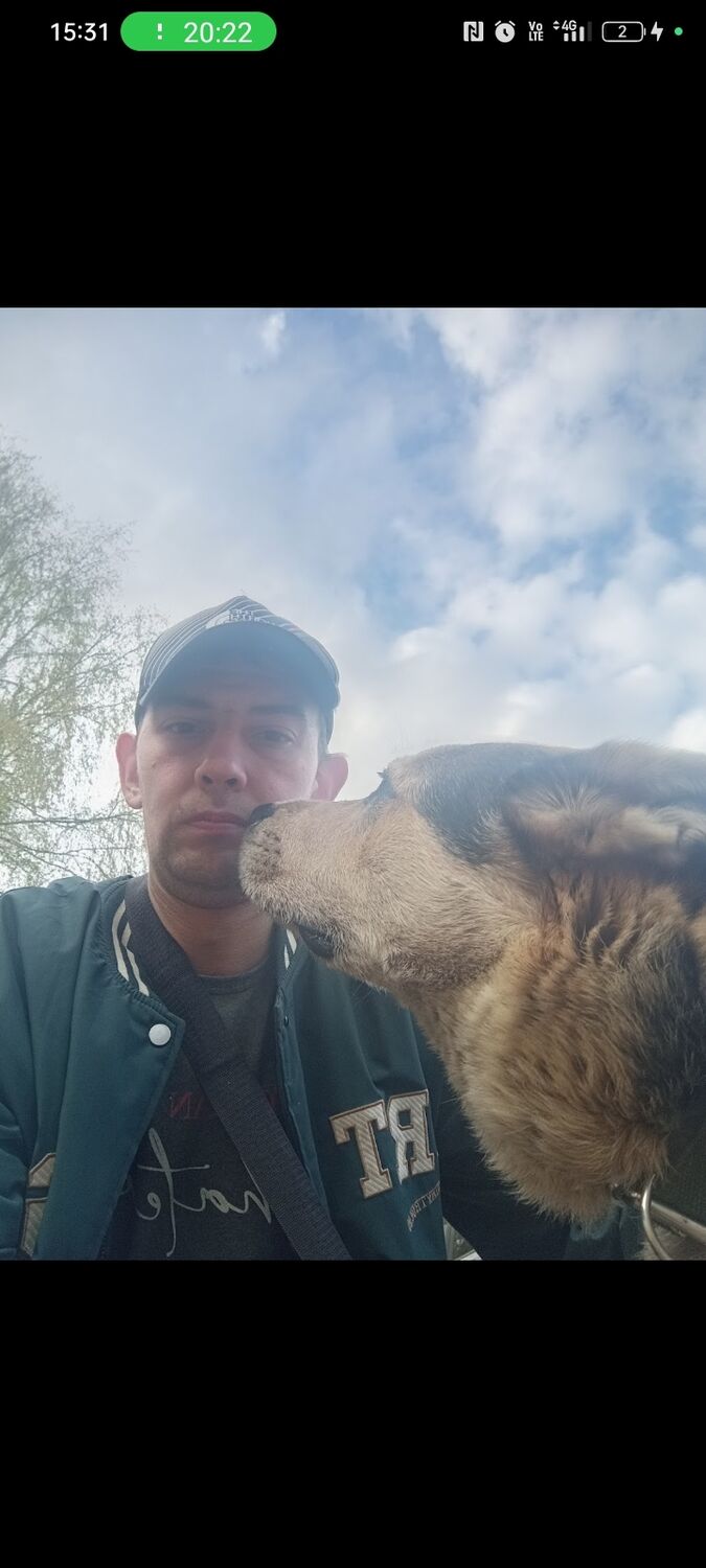 ���������� ������, ���� ������� �����, 31 ���, ������������ ��� ������, ����� � ���������, c�������� ���������, ���������