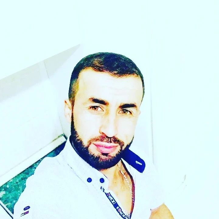 31699596  , 41 ,    