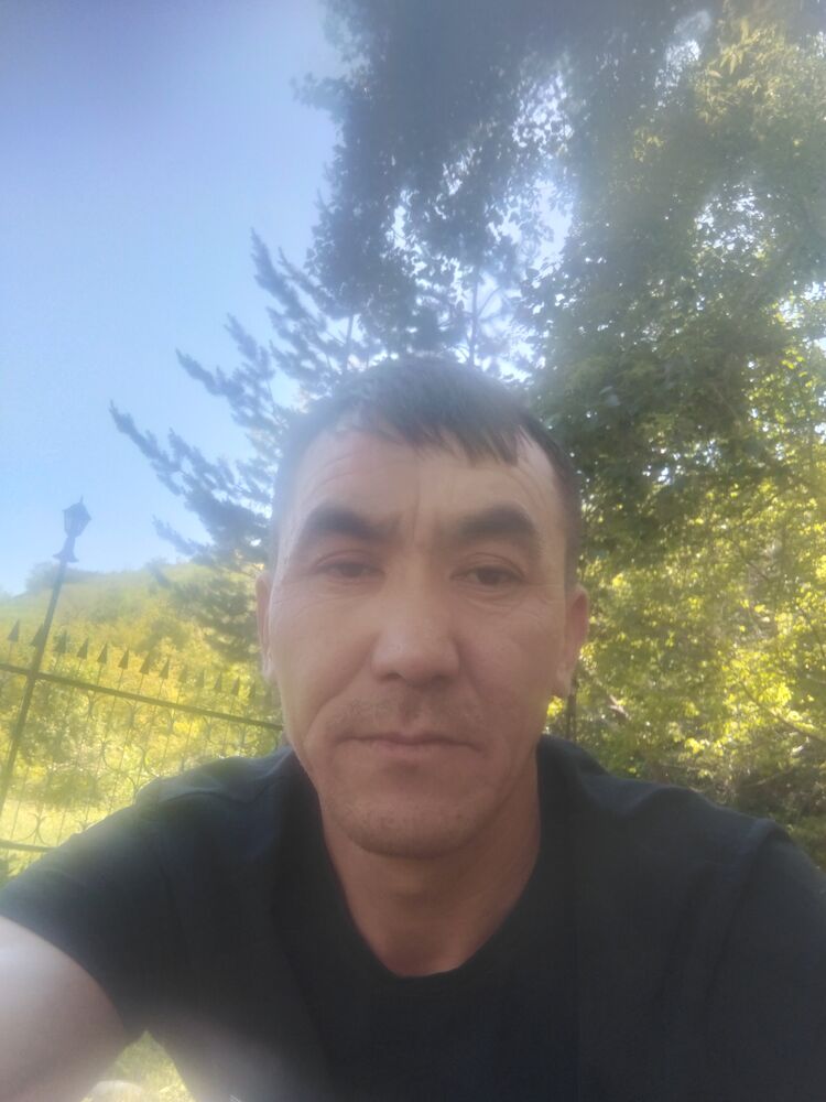  44634056  , 39 ,    