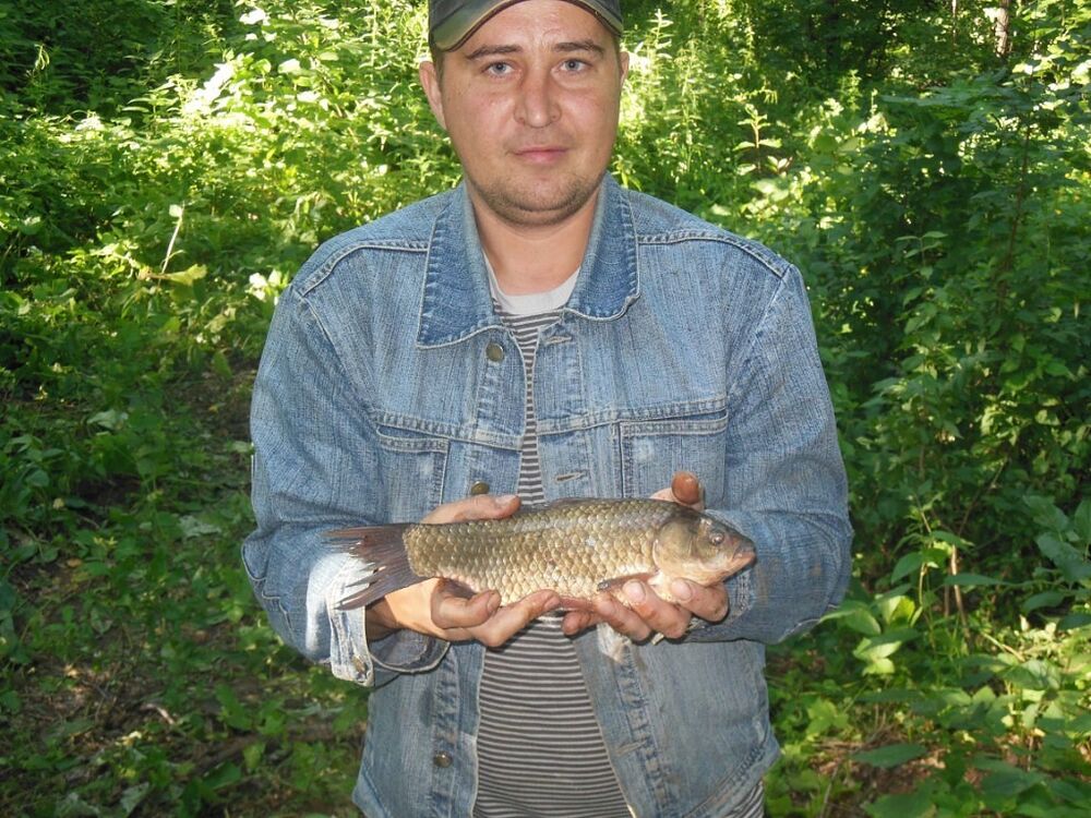 ���������� ������, ���� ������� ������, 42 ����, ������������ ��� ������, ����� � ���������, c�������� ���������