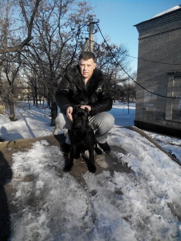 ���������� ������, ���� ������� �����, 46 ���, ������������ ��� ������, ����� � ���������