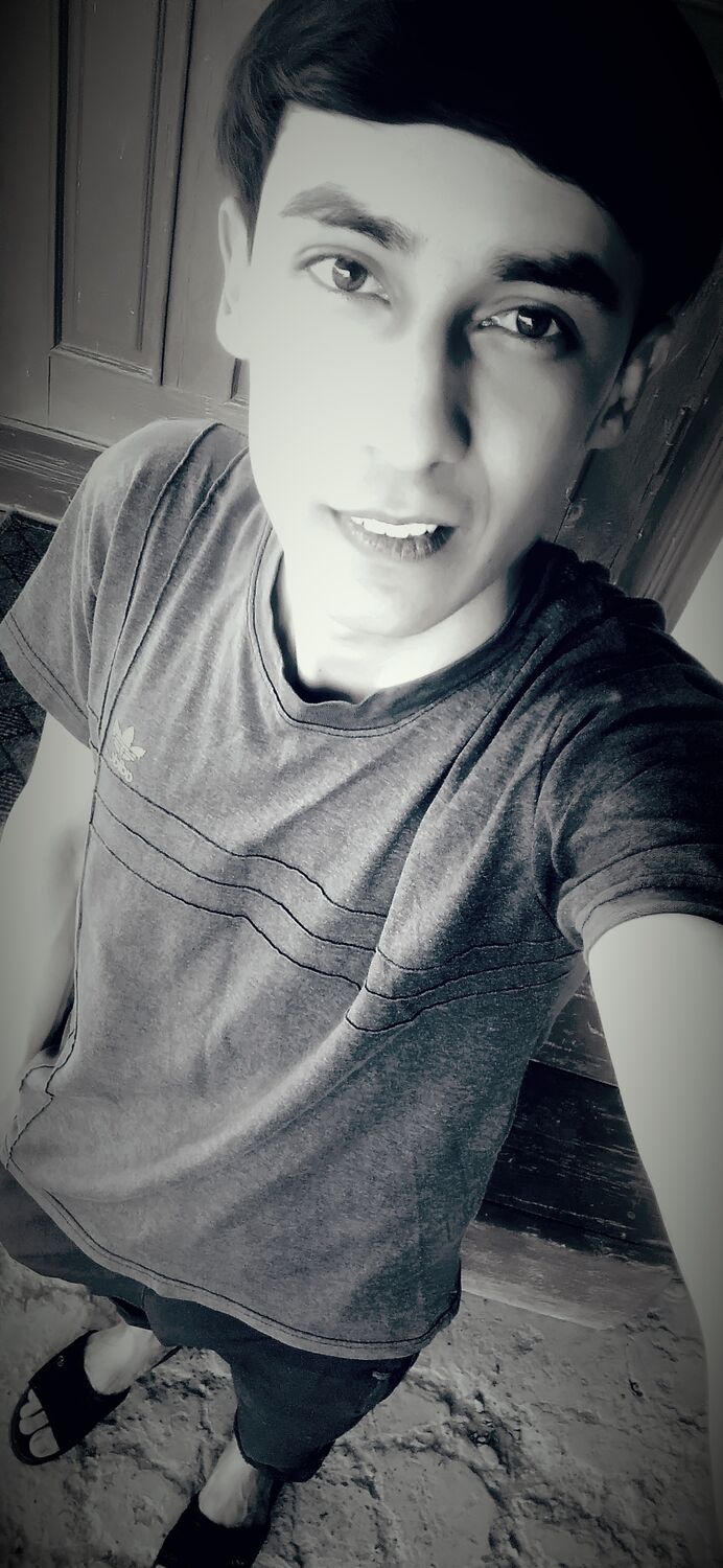  24967206  , 27 ,    