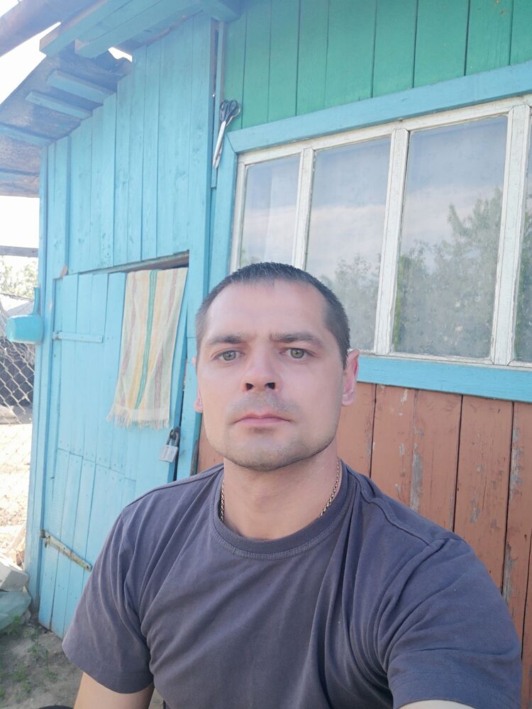  29113446  , 41 ,    
