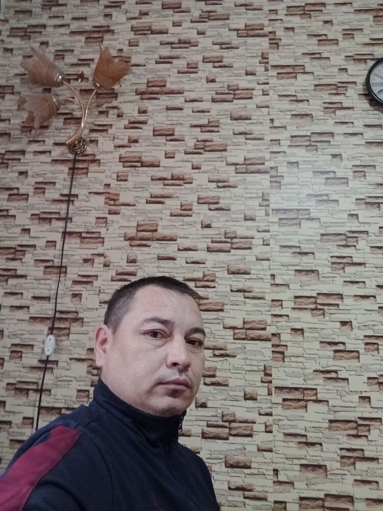  51030546  , 41 ,    
