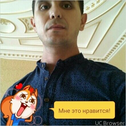  11599986  , 43 ,    