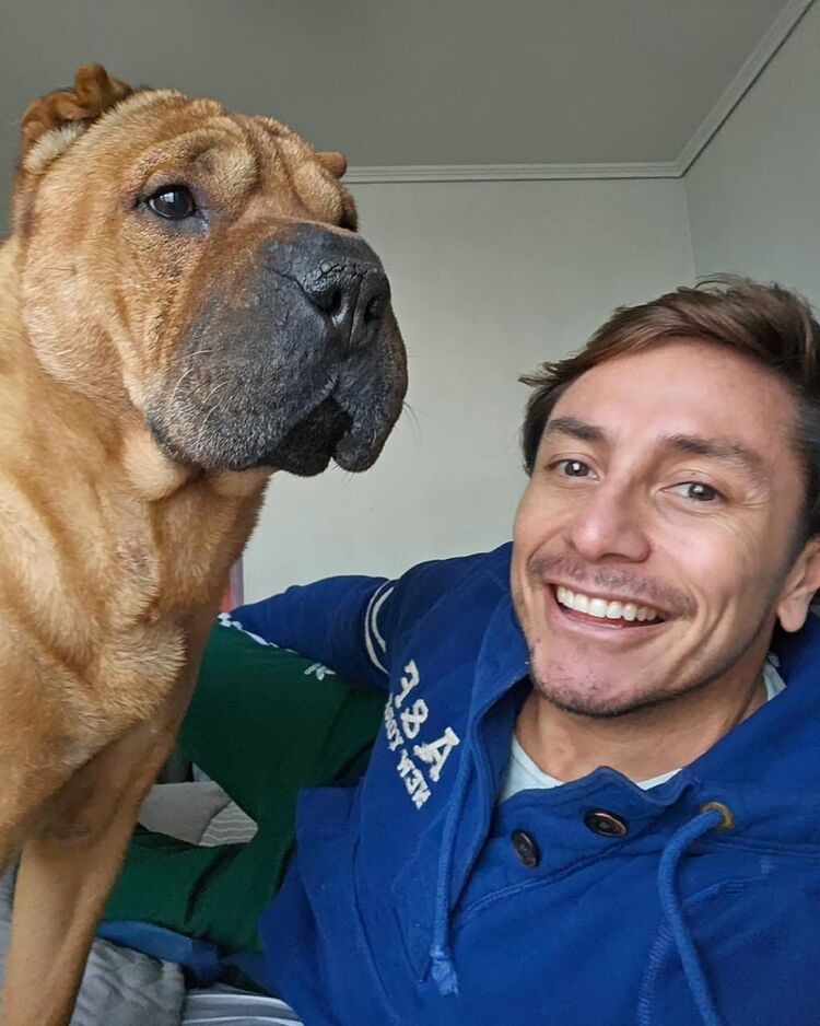 ���� 55227186 ������� ���������, 36 ���, ���� ���������� � ������