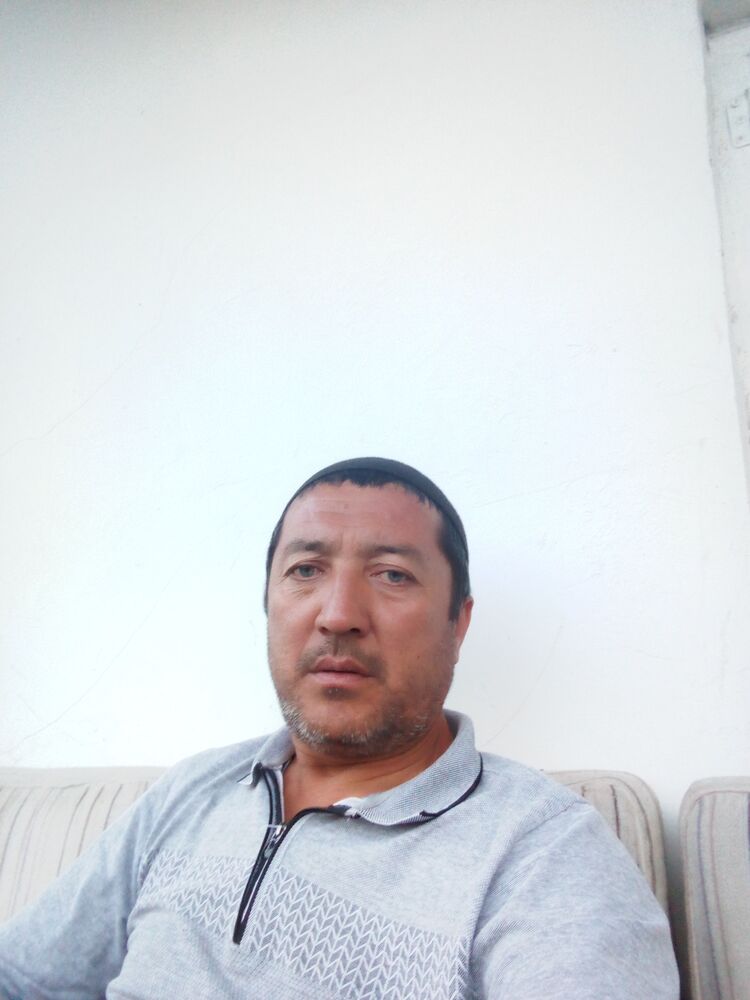  43554896  , 49 ,    