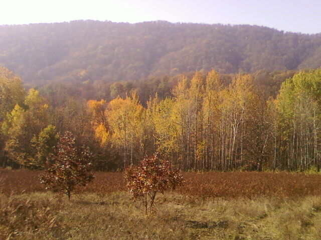 ���������� ���������, ���� ������� ������, 43 ����, ������������ ��� ������, ����� � ���������, c�������� ���������