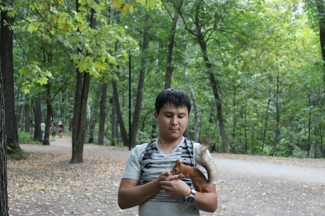 ���������� ������, ���� ������� ����, 38 ���, ������������ ��� ������, ����� � ���������, c�������� ���������