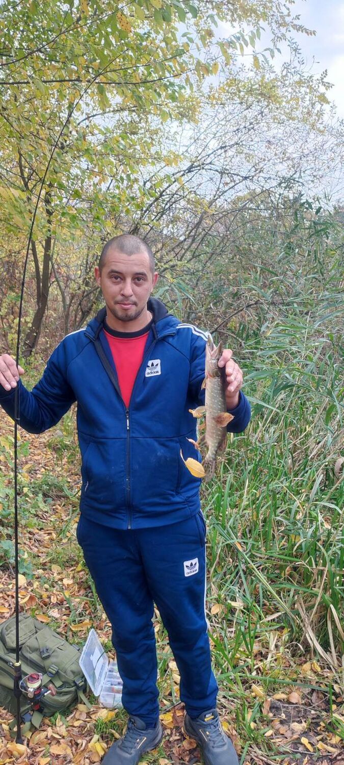 ���� 54081566 ������� �����, 36 ���, ���� ���������� � ��������