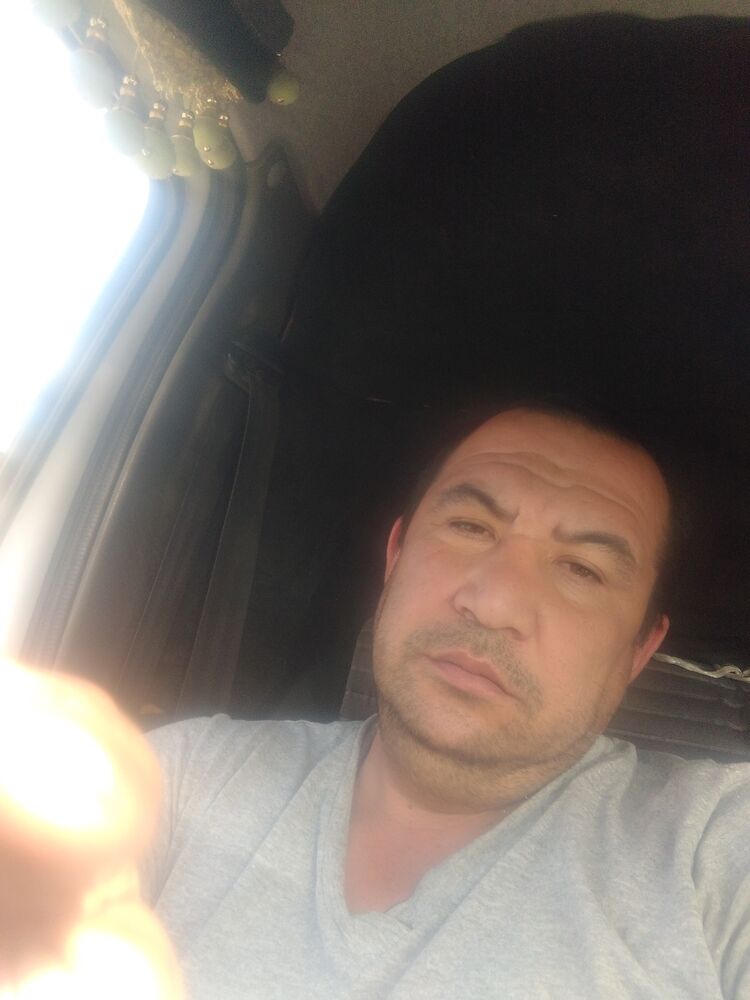  33165816  , 42 ,    