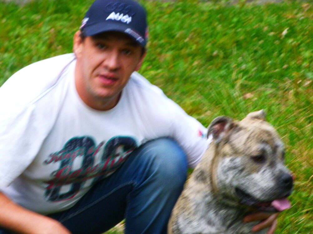 ���� 13455436 ������� �������, 50 ���, ���� ���������� � ����������