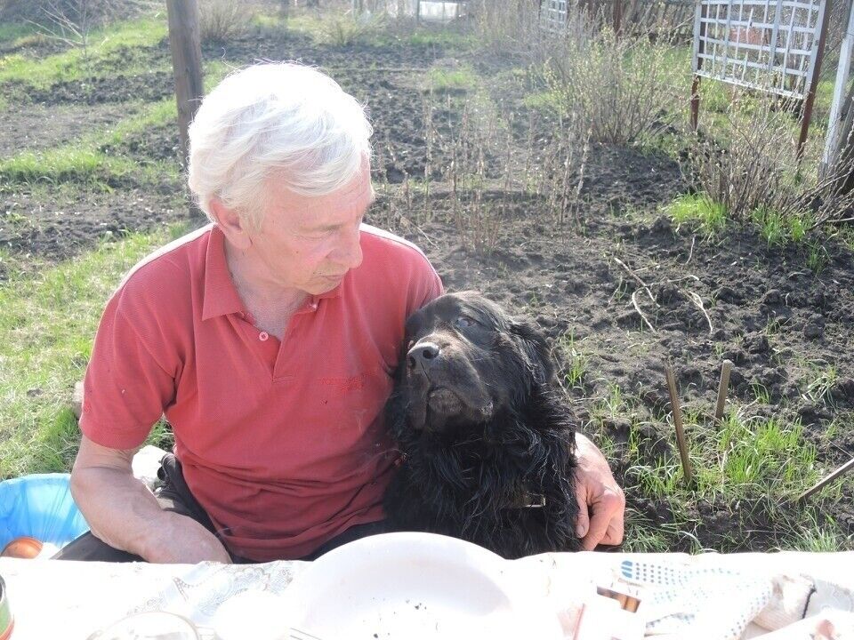 ���������� �������, ���� ������� ��������, 103 ����, ������������ ��� ������, ����� � ���������, c�������� ���������, ���������