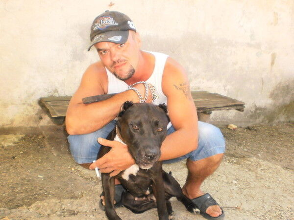 ���������� �����������, ���� ������� ������, 48 ���, ������������ ��� ������, ����� � ���������, c�������� ���������