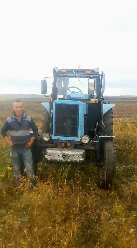 ���� 43181706 ������� �������, 38 ���, ���� ���������� � ��������