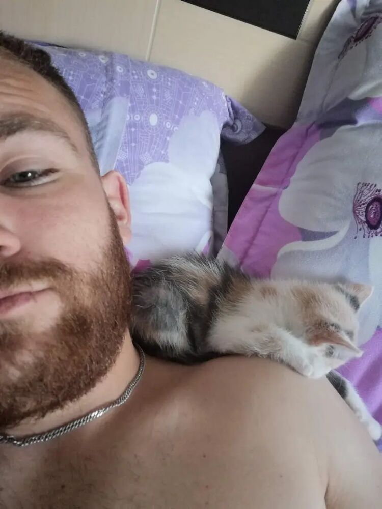 ���� 26755676 ������� ���������, 30 ���, ���� ���������� � ���������