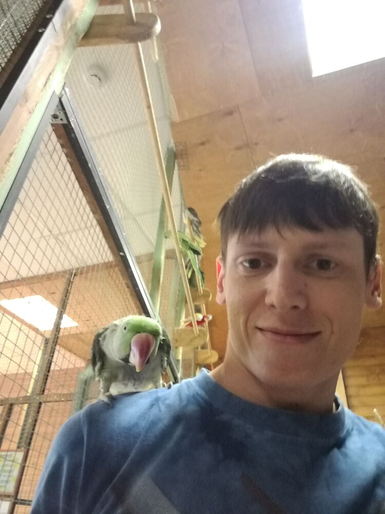 ���������� ������������, ���� ������� ������, 36 ���, ������������ ��� ������, ����� � ���������