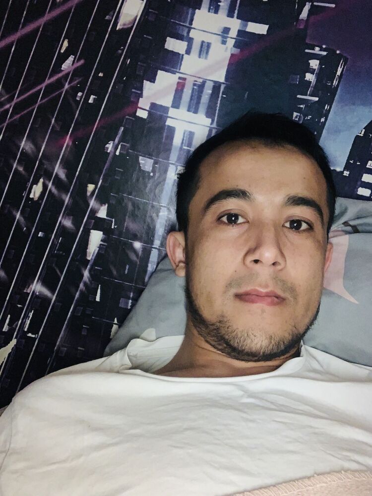  33041276  , 33 ,    
