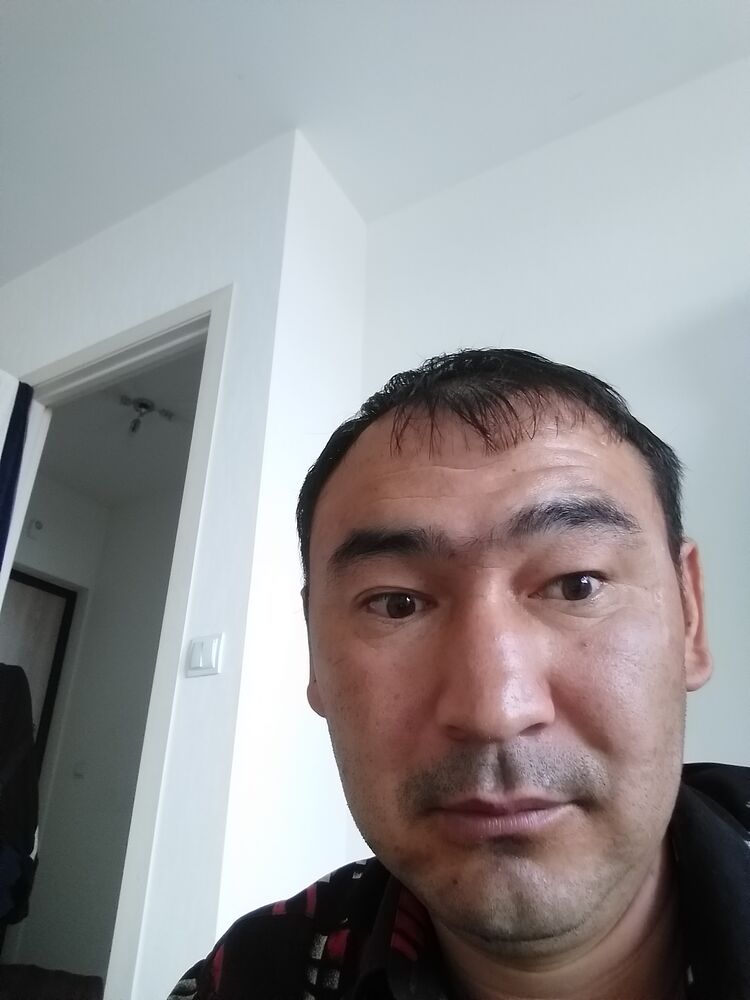  23512926  , 36 ,    -