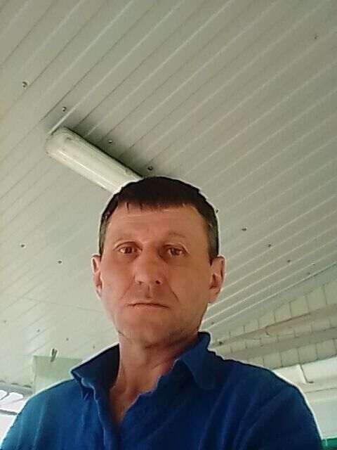  45489936  , 55 ,    