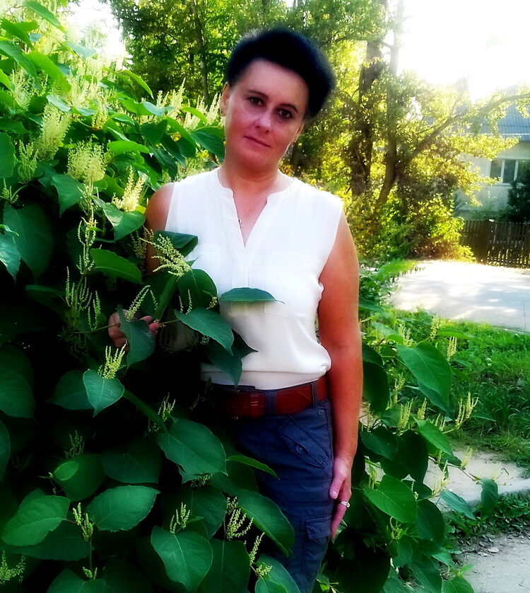  ,   , 53 ,     , c 