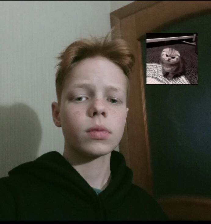  34011196  , 20 ,    