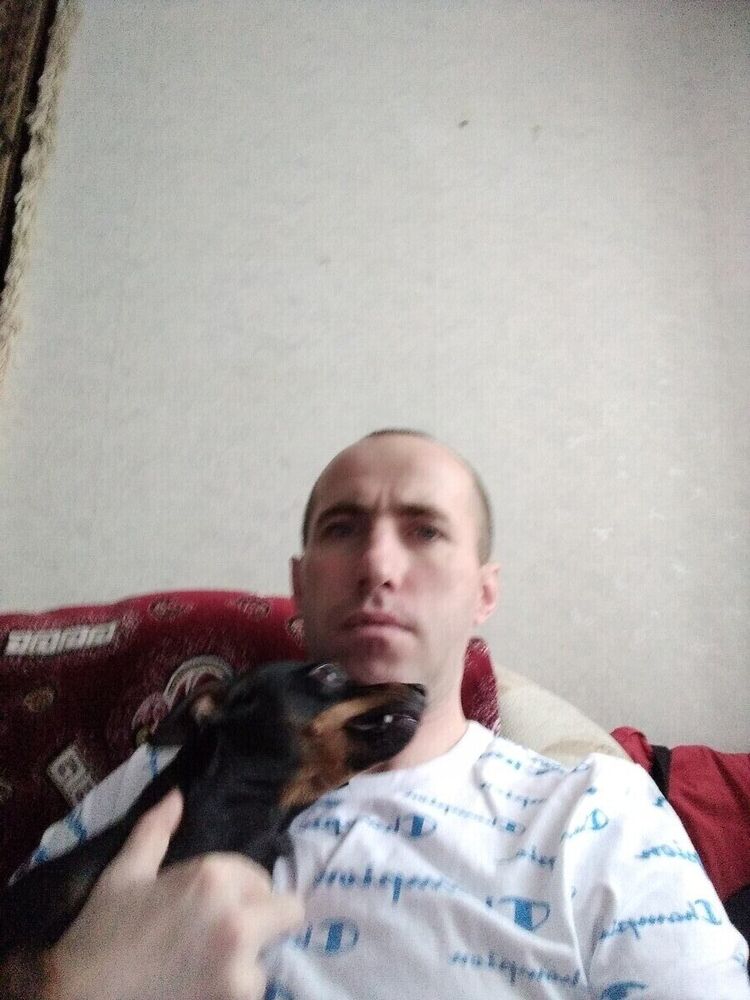 22088896  , 38 ,    