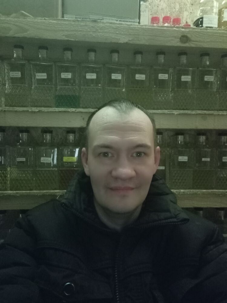 ���� 55976946 ������� ������, 42 ����, ���� ���������� � ������ ���������